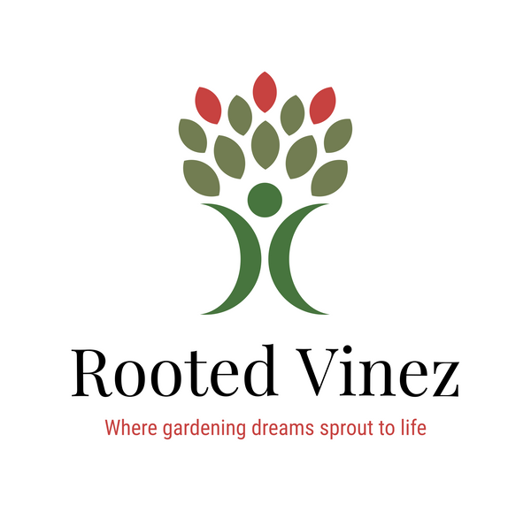 Rooted Vinez